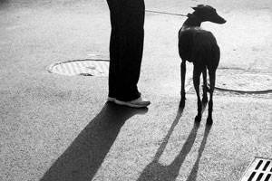 ����ɨ���ܽ�