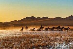 ������ɫ