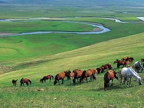 中国最美6大草原 我们一起策马奔腾