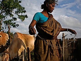 ��Ӱ��裺�ϼ���������仯������֮��