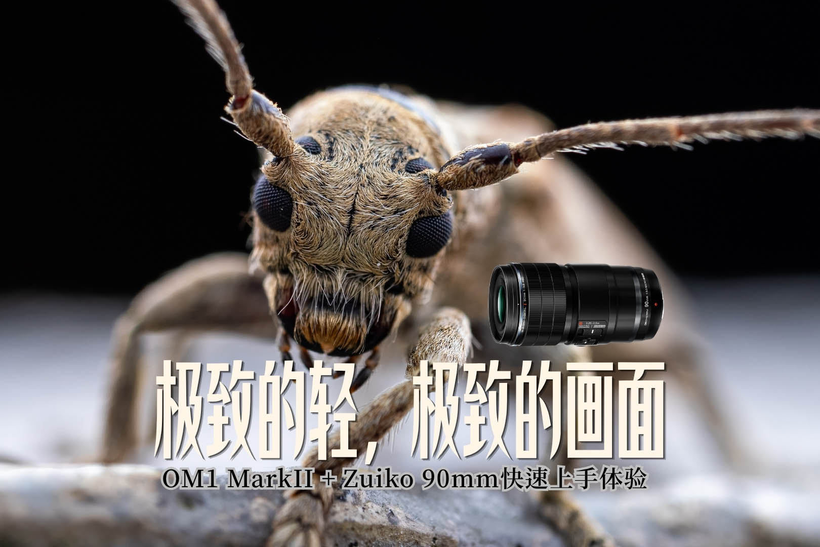 ���µ��ᣬ���µĻ��桪��OM1 MarkII + Zuiko 90mm������������