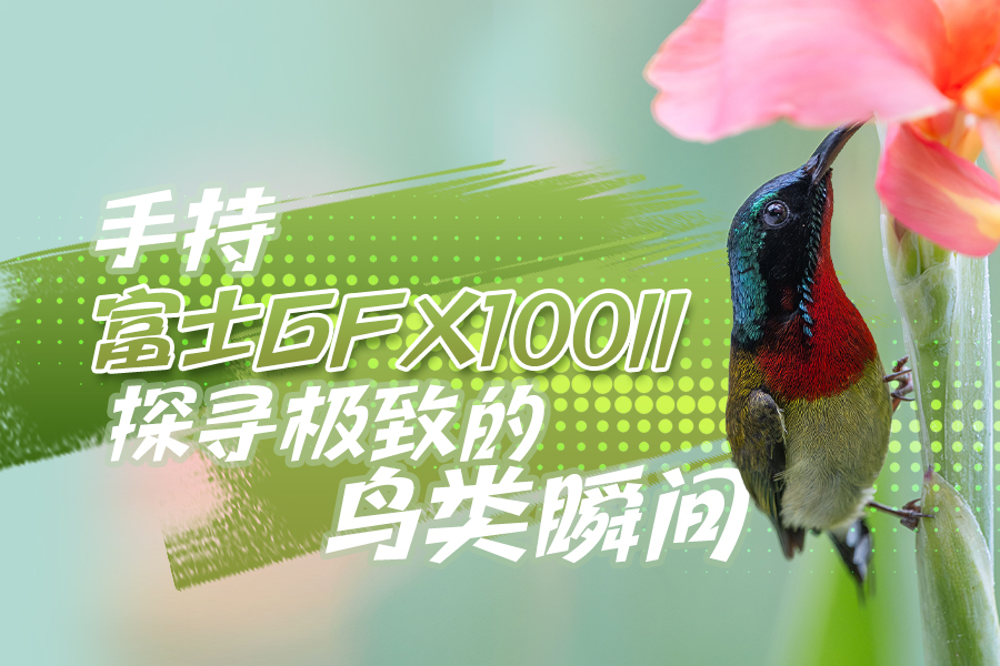 ֳָʿGFX100II̽Ѱµ˲