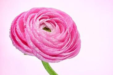 ῵ȫ΢῵Z8Ĺ̼3.00