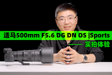 适马500mm F5.6 DG DN OS |Sports 实拍体验
