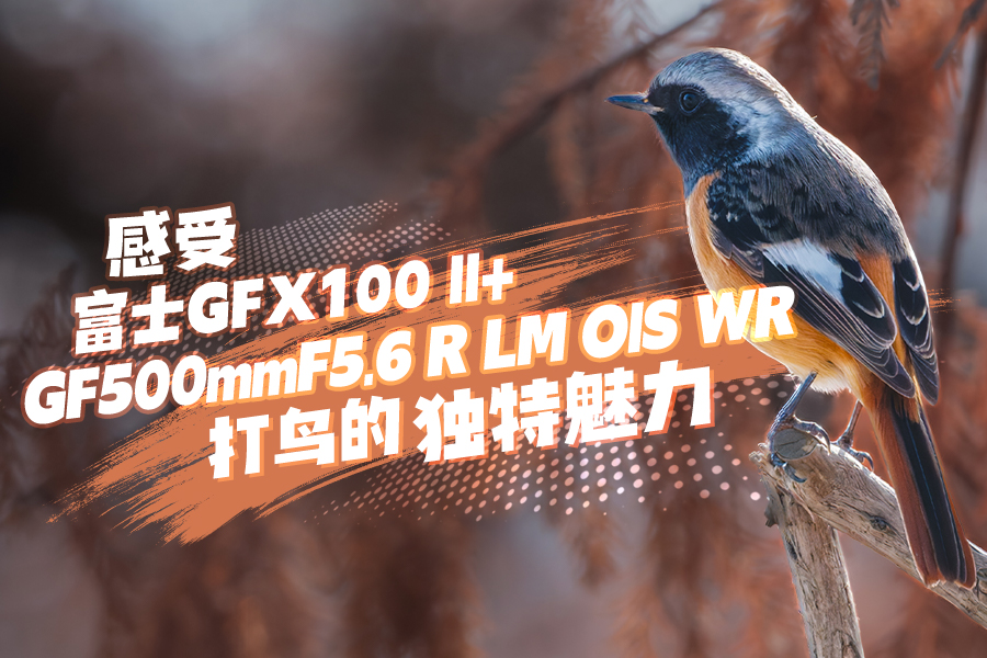 感受富士GFX100 II+GF500mmF5.6 R LM OIS WR打鸟的独特魅力