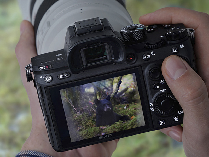 ͻ��7ϵֱ��A9 ���ᷢ���¿�ȫ����΢��A7RIII 