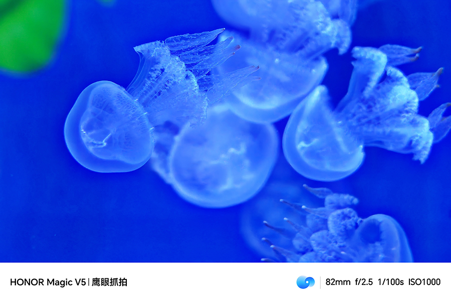 ᱡ۵Ӱͻ ҫMagic V5Ƭ