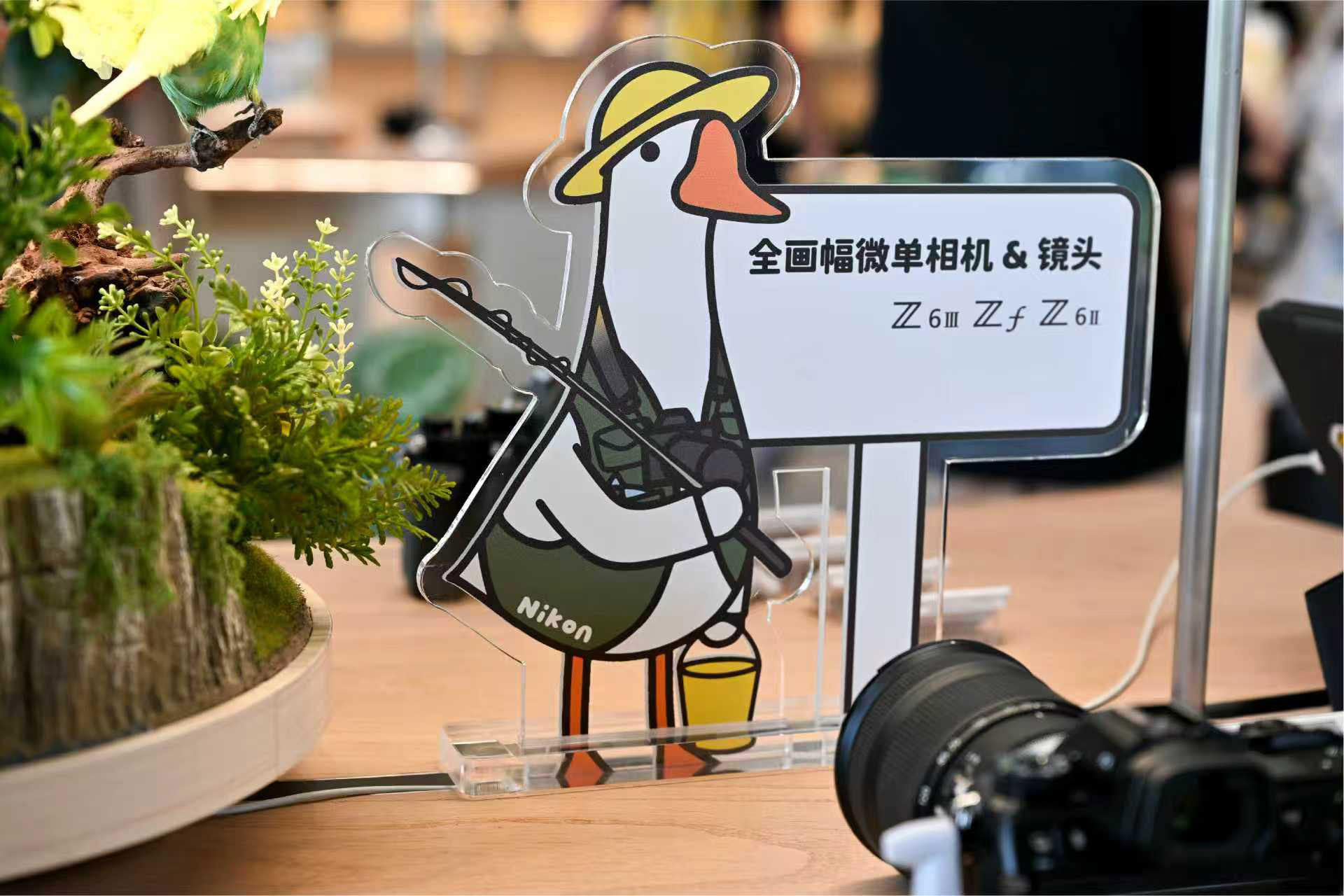 �῵ֱӪ������������������������һ����ð��