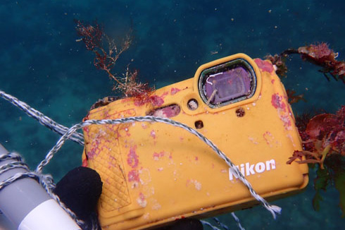 相机被海水浸泡一年仍然可以使用 尼康coolpix w300再现奇迹