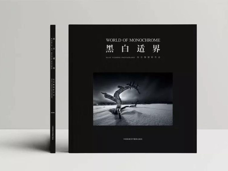 段岳衡《黑白适界》新书发布 作品展同步在京举办