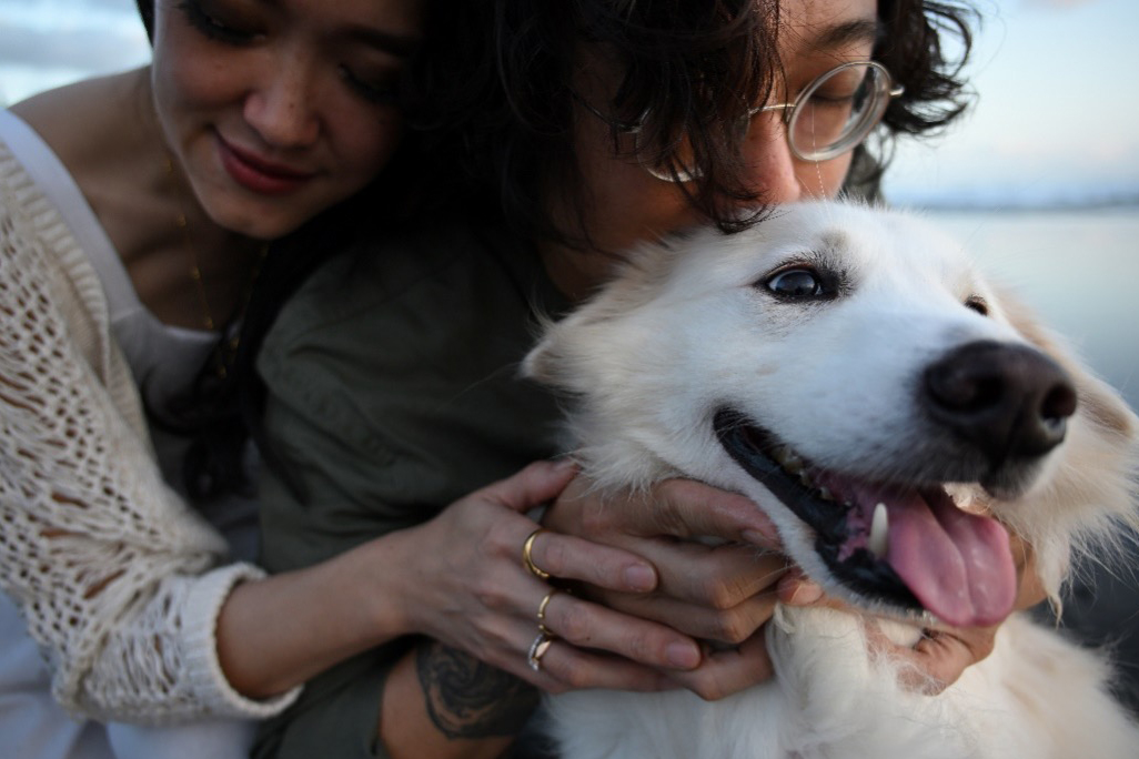 尼康光影绘团圆：让每一张笑脸，成为新年最美注脚