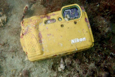 拣回一年前丢在海里的数码相机 设备和数据居然安然无恙！