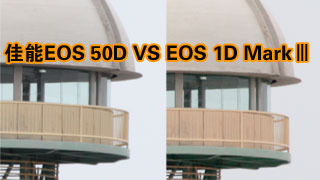 ͬPK EOS 50D VS EOS 1D Mark
