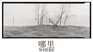 《哪里》—林然经典铂金印相展28日开幕