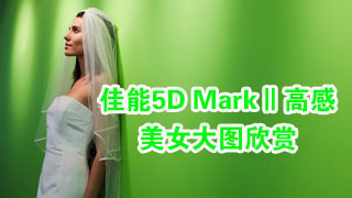 ֳŮ 5D Mark߸