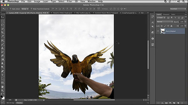 Adobe Photoshop CS6 BETAṩ 