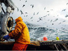 渔夫摄影师亲述《致命捕捞》背后的故事