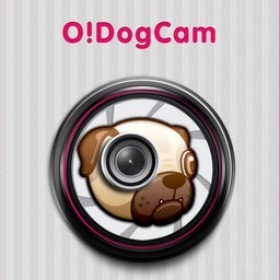 O!DogCam רΪ˿