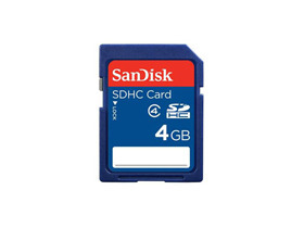 ʵ֮ѡ SanDisk 4GB SD29Ԫ