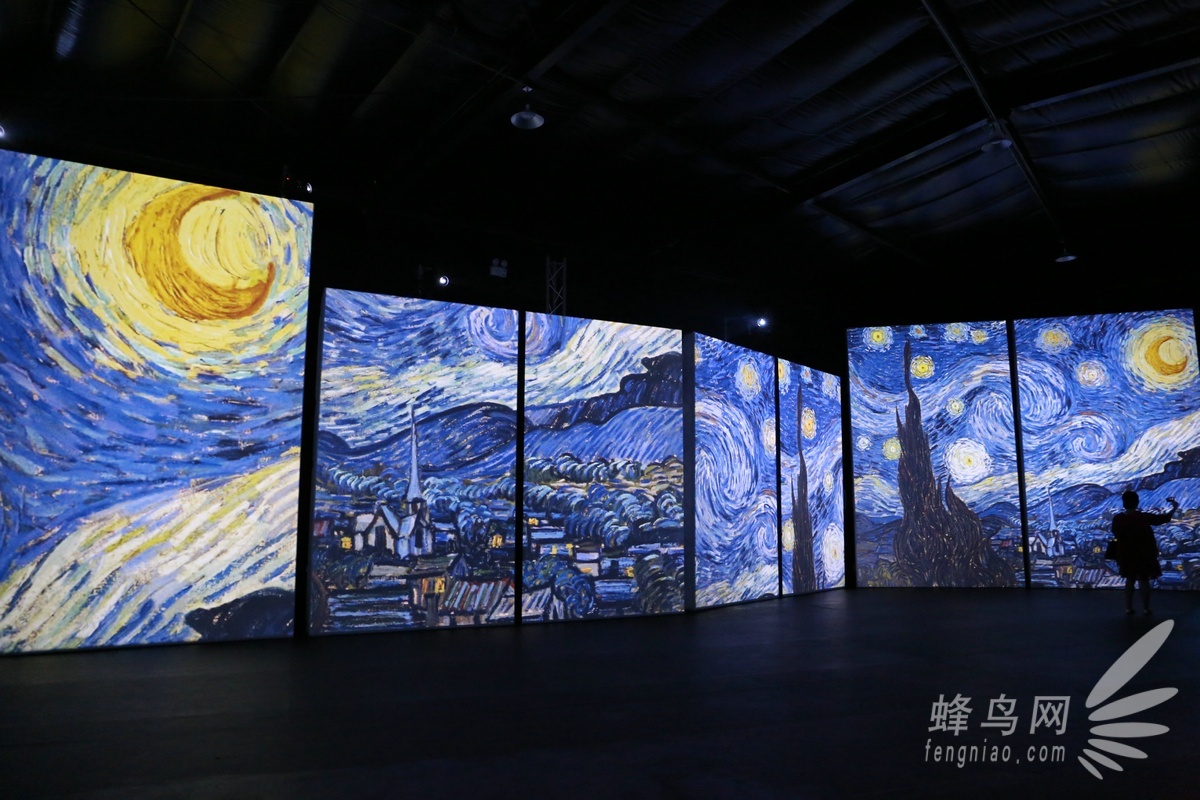 梵高艺术展北京图片