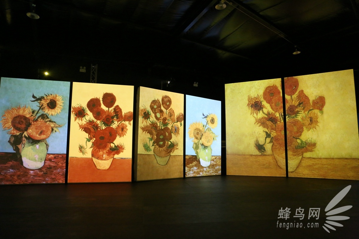 梵高艺术展北京图片