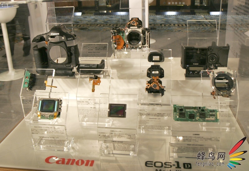 EOS-1D Mark IIIȫ