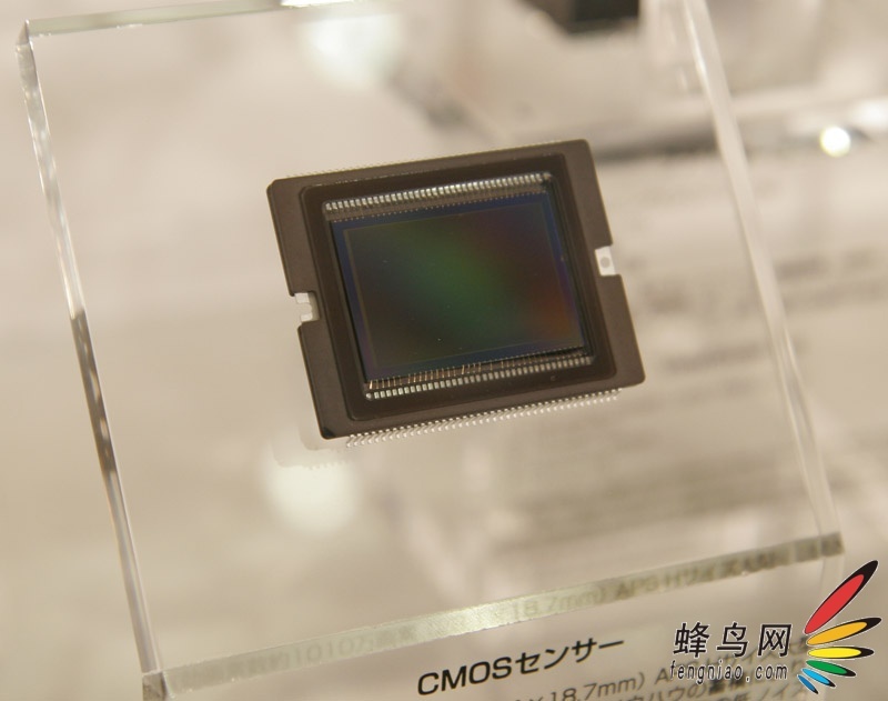 EOS-1D Mark IIIȫ