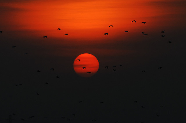 令人窒息的美丽 21张绝美的日落摄影作品