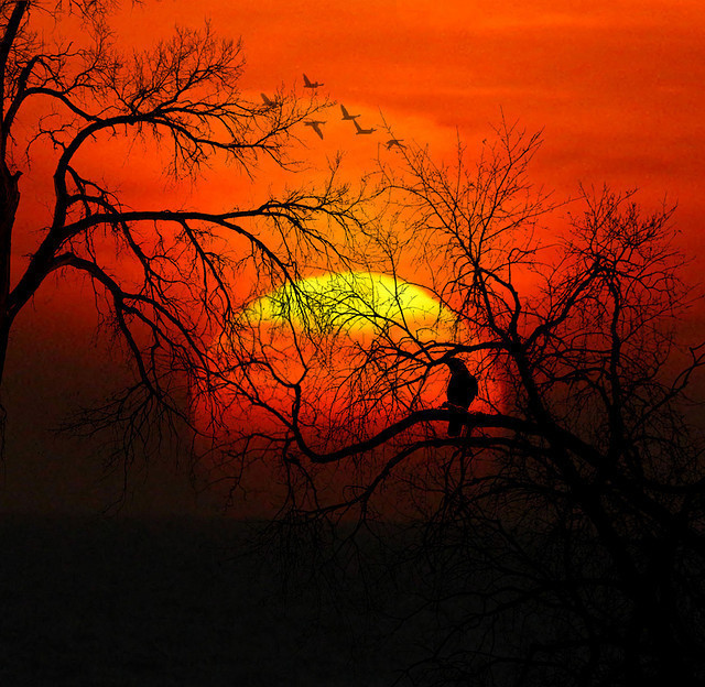 令人窒息的美丽 21张绝美的日落摄影作品
