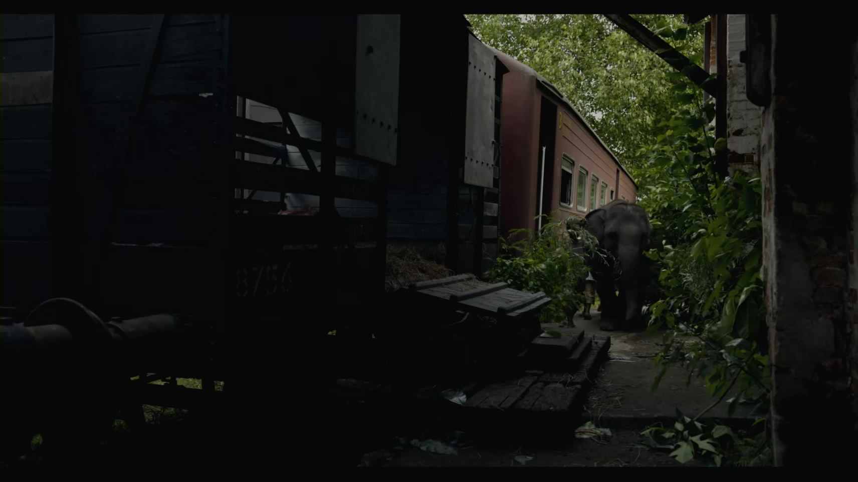 4K F55Ƭ