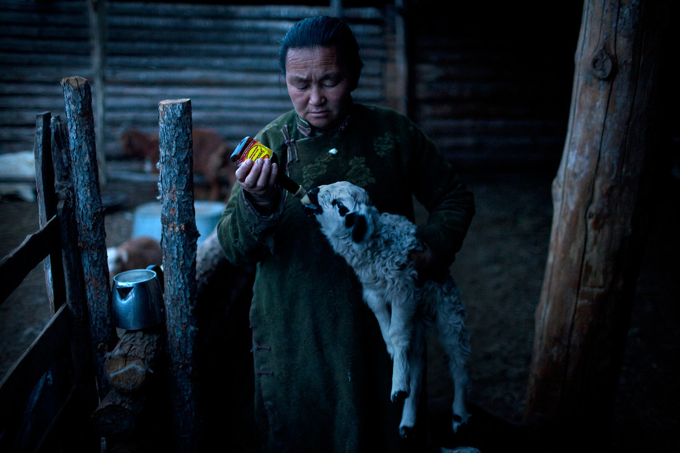 日益消逝的游牧文化：摄影师探秘蒙古国