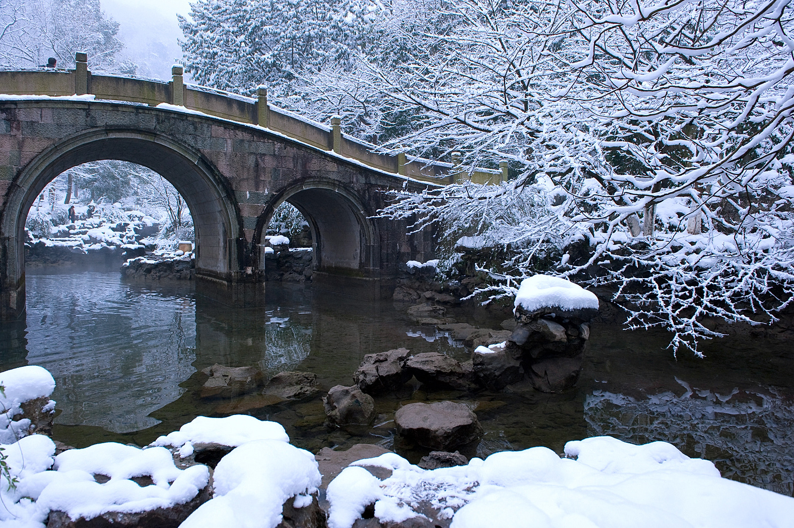 瑞雪降南国 2013杭州西湖雪景欣赏