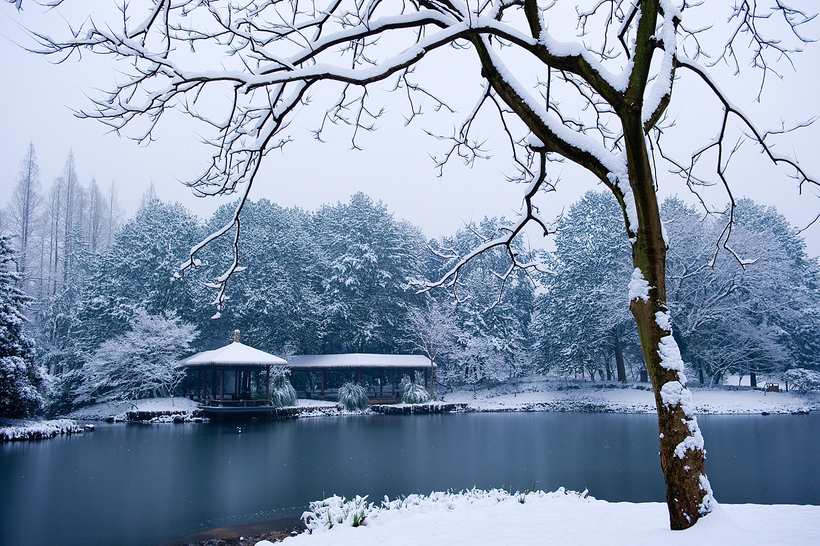 瑞雪降南国 2013杭州西湖雪景欣赏