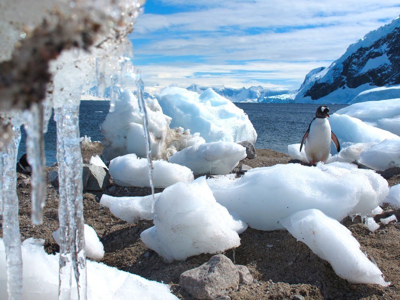 去冰天雪地跨年 跟着国家地理探南极奇观