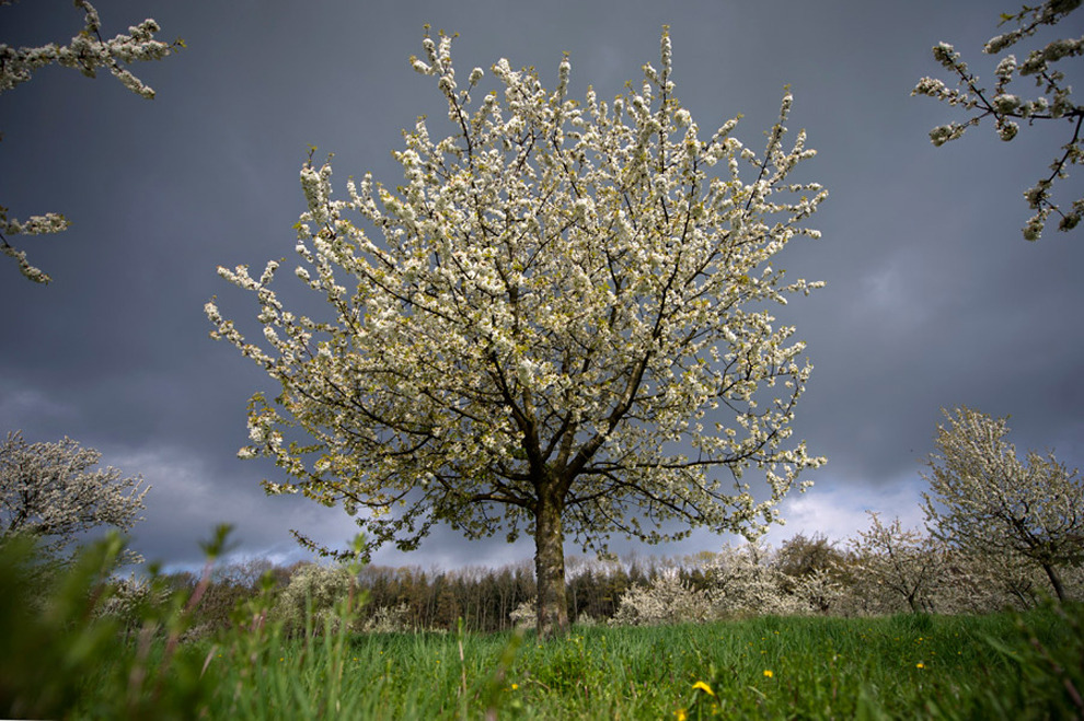 英国媒体精选：2012最佳自然摄影作品