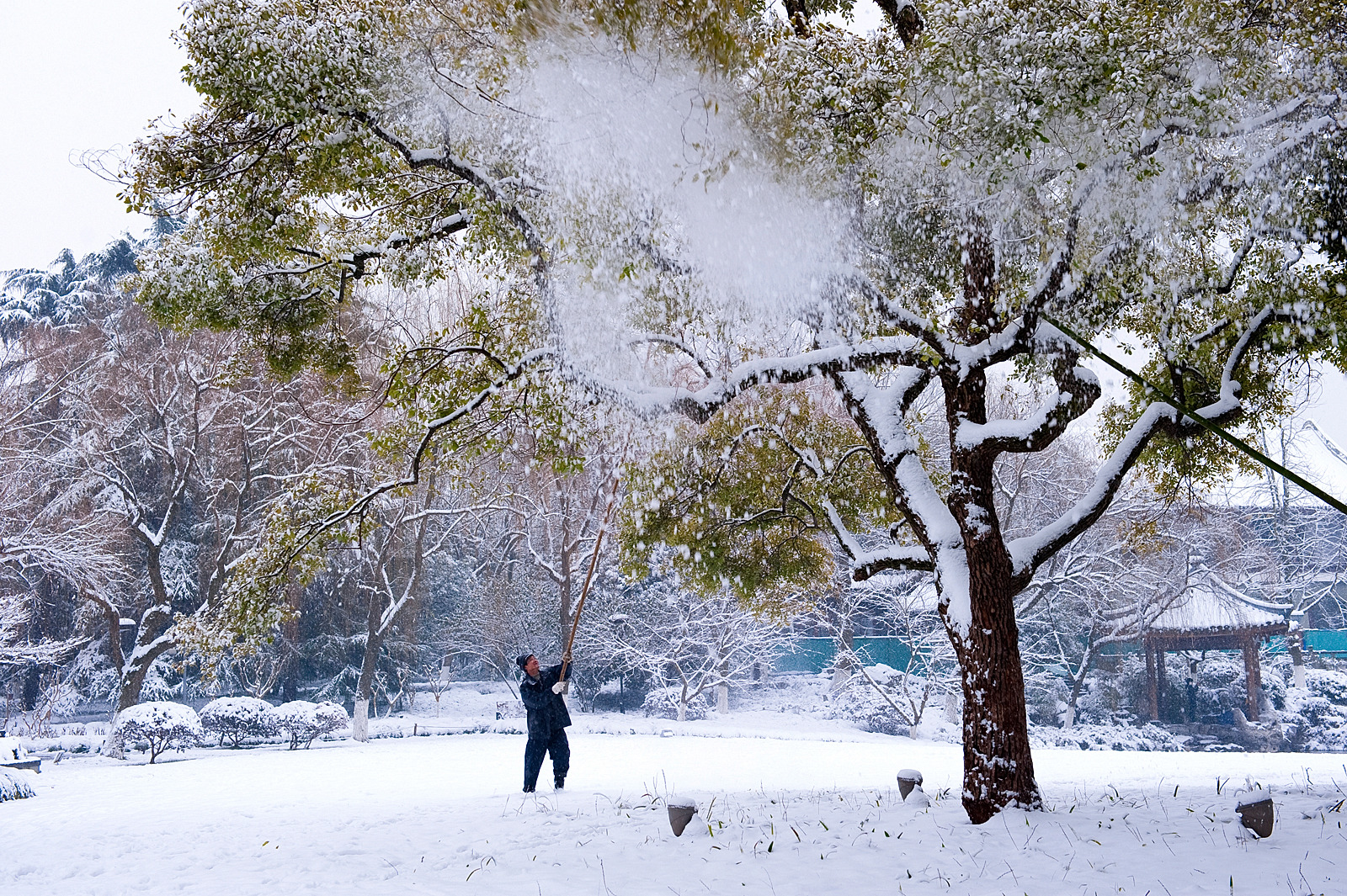 瑞雪降南国 2013杭州西湖雪景欣赏