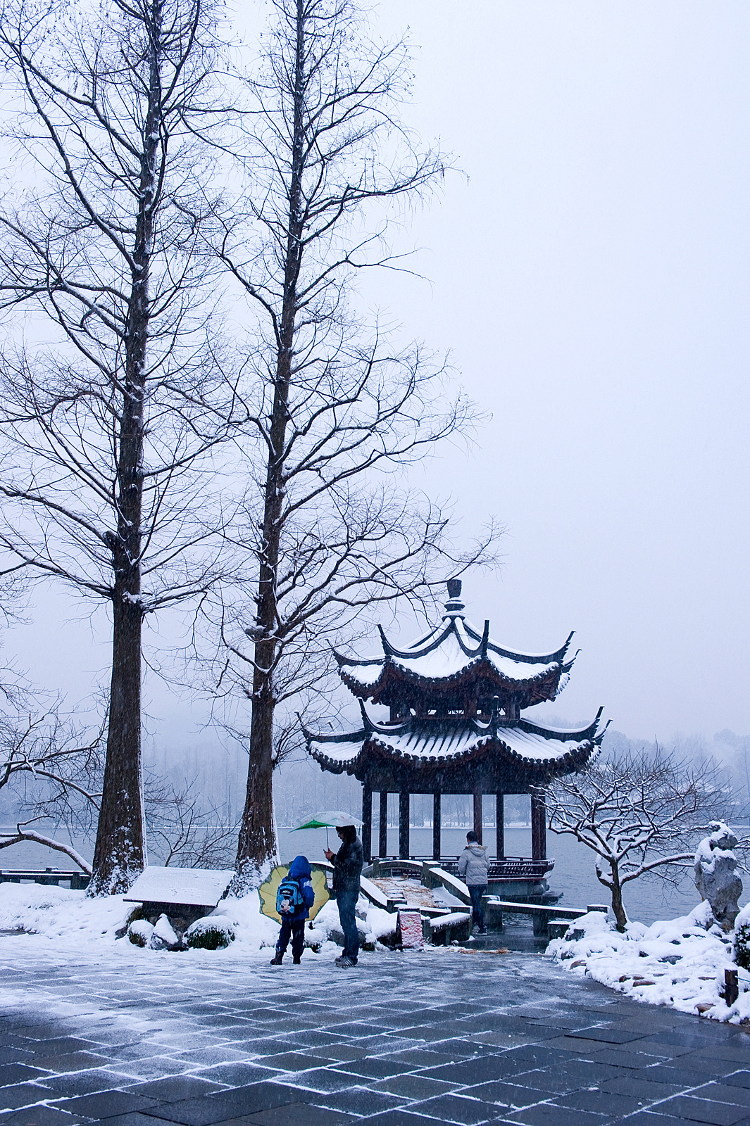 瑞雪降南国 2013杭州西湖雪景欣赏