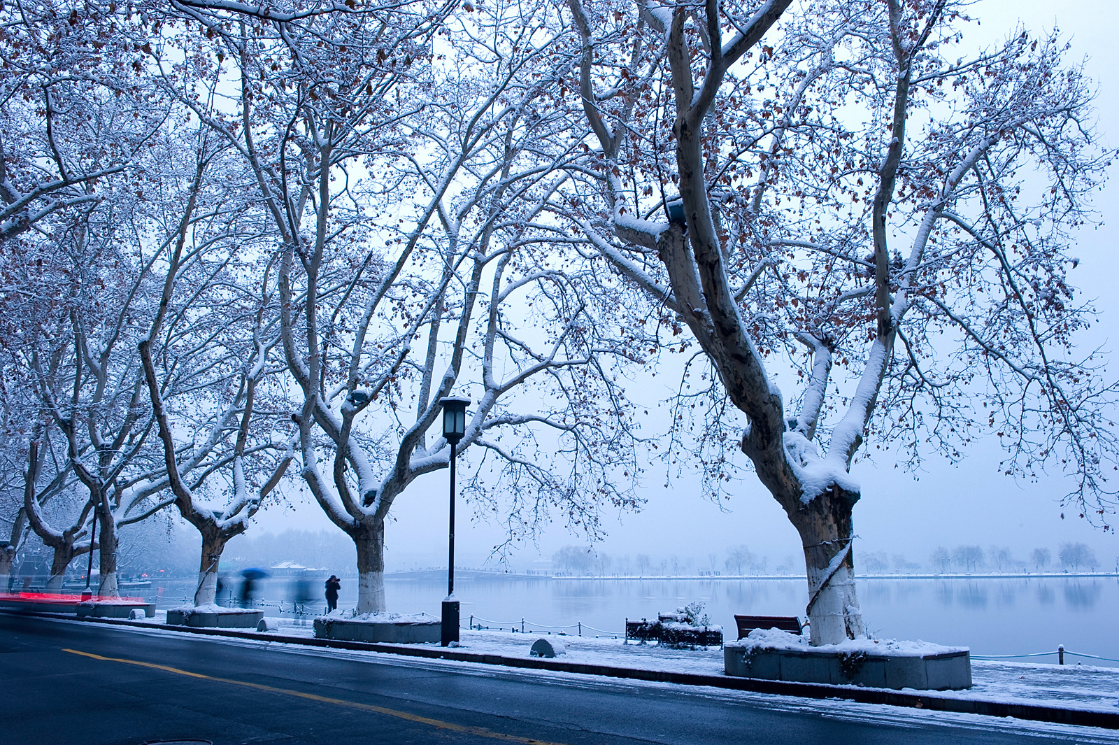 瑞雪降南国 2013杭州西湖雪景欣赏