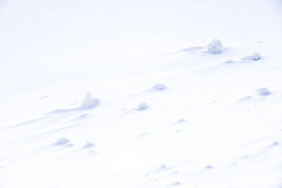 挑战-40°C阿尔山 D800E与NEX6冰雪之旅