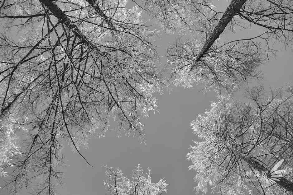 挑战-40°C阿尔山 D800E与NEX6冰雪之旅