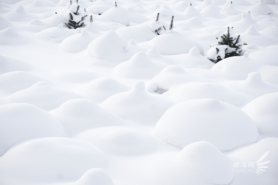 挑战-40°C阿尔山 D800E与NEX6冰雪之旅