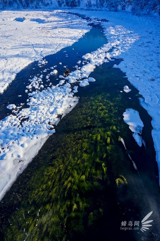 挑战-40°C阿尔山 D800E与NEX6冰雪之旅