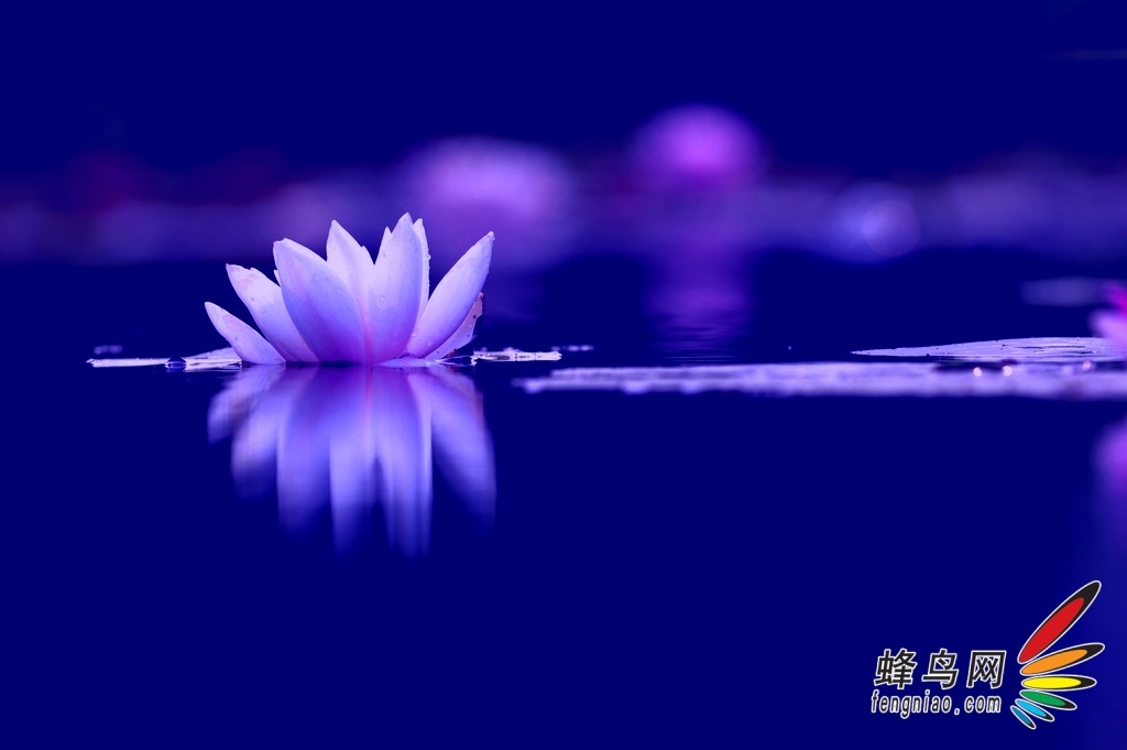 Ļ