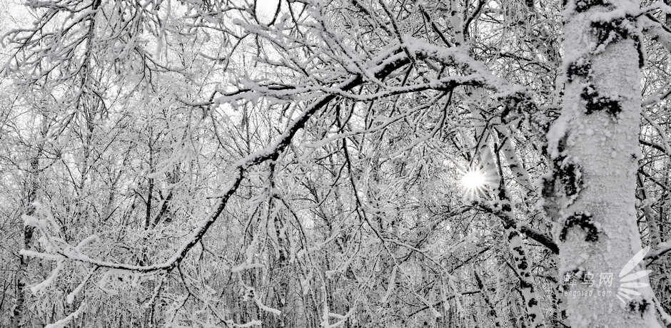 挑战-40°C阿尔山 D800E与NEX6冰雪之旅