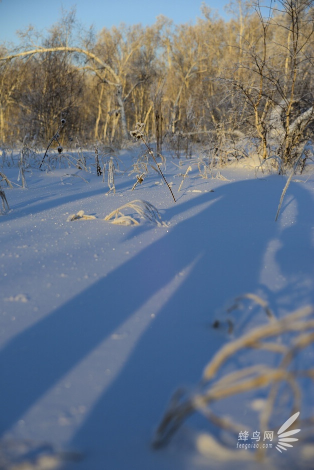 挑战-40°C阿尔山 D800E与NEX6冰雪之旅