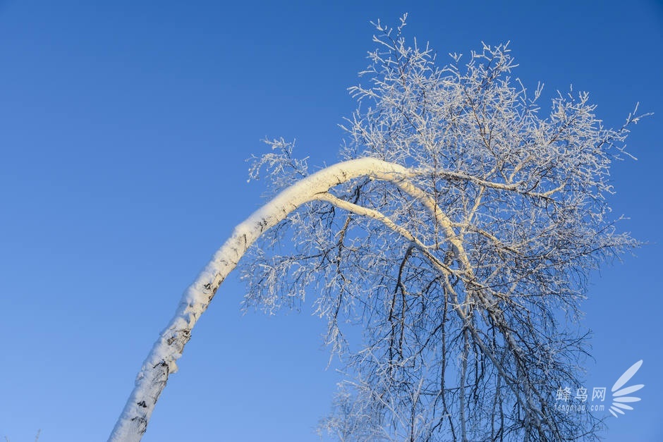 挑战-40°C阿尔山 D800E与NEX6冰雪之旅