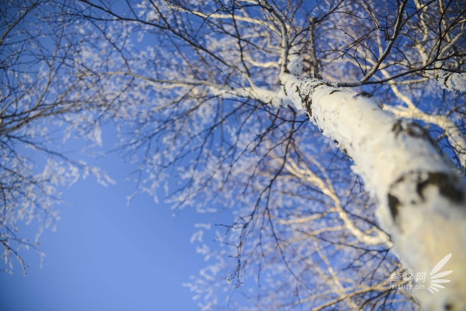 挑战-40°C阿尔山 D800E与NEX6冰雪之旅