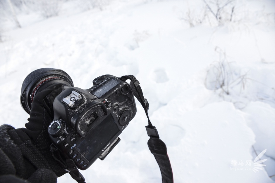 挑战-40°C阿尔山 D800E与NEX6冰雪之旅