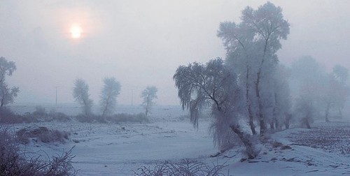 冬季必拍题材 雾凇仙境