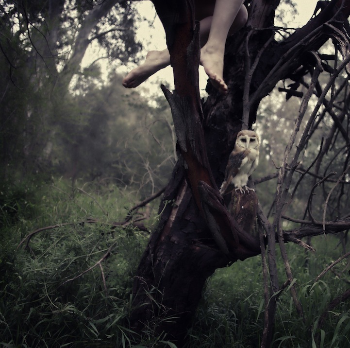 丛林少女驯兽记：重温童年梦境的摄影